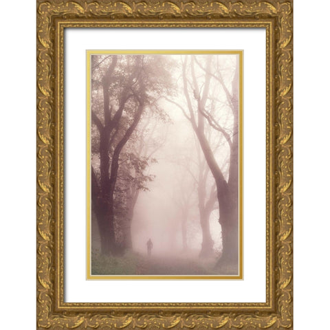 Early morning walk Gold Ornate Wood Framed Art Print with Double Matting by Eisenmann, Ulrike