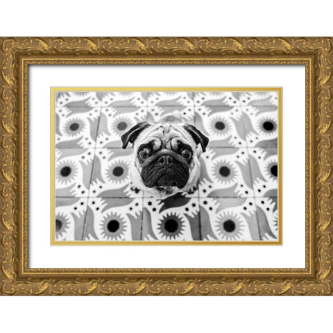VudAo Gold Ornate Wood Framed Art Print with Double Matting by Abreu, Pablo
