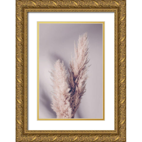 Pampas Grass Gold Ornate Wood Framed Art Print with Double Matting by Artographie Studio