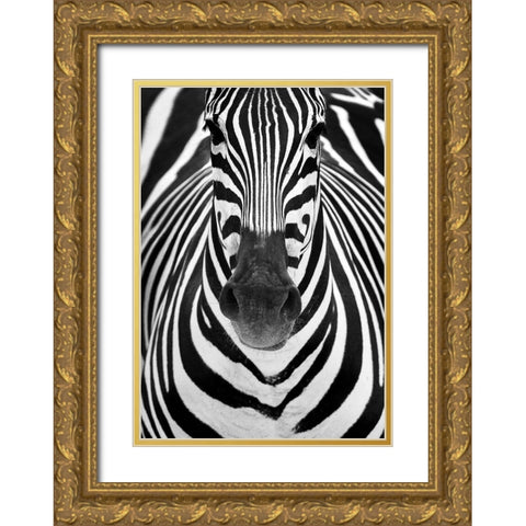 ZEBRA Gold Ornate Wood Framed Art Print with Double Matting by Luis Duran, Juan
