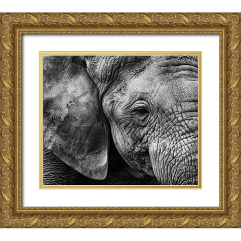 Elephant skin Gold Ornate Wood Framed Art Print with Double Matting by Garcia, Helena