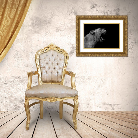 Lioness in low key Gold Ornate Wood Framed Art Print with Double Matting by Nauzet Baez Photography