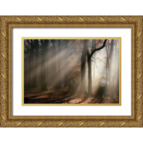 Morning Walk Gold Ornate Wood Framed Art Print with Double Matting by Lathouwers, Liliane