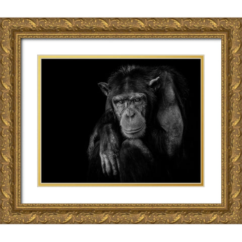 Youth dont last Forever Gold Ornate Wood Framed Art Print with Double Matting by Nauzet Baez Photography