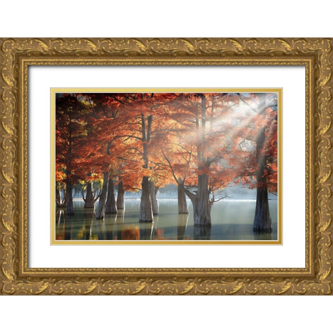 Sunny Cypress Trees Gold Ornate Wood Framed Art Print with Double Matting by Nesvetaylov, Dmitry