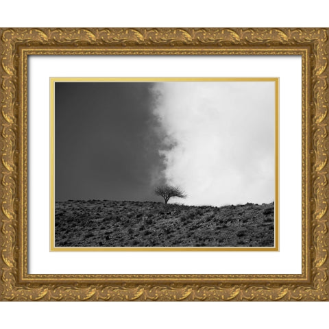 The Sky is Mine Gold Ornate Wood Framed Art Print with Double Matting by Noori, Saba