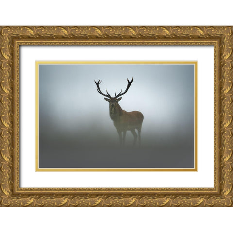 Ephemerality Gold Ornate Wood Framed Art Print with Double Matting by Rudchenko, Olga