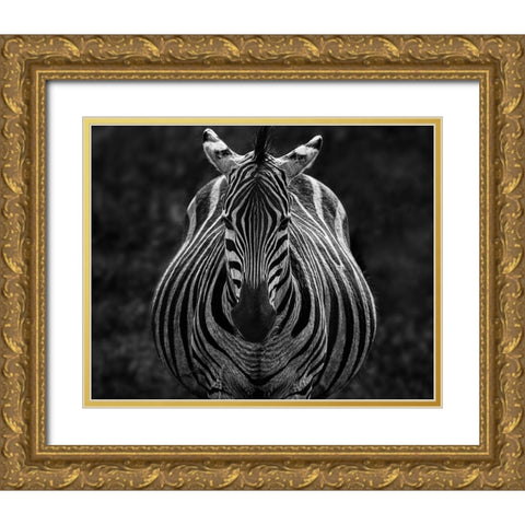 Stare Gold Ornate Wood Framed Art Print with Double Matting by Chen, Jiong