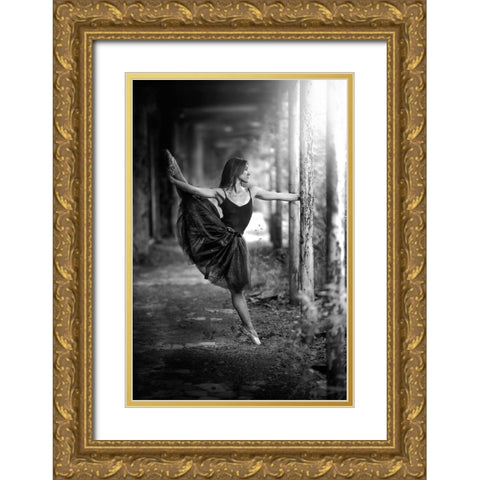 Ballet Hold Gold Ornate Wood Framed Art Print with Double Matting by Petrocca, Domenico