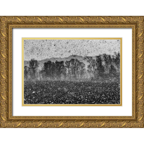 Snow Storm Gold Ornate Wood Framed Art Print with Double Matting by Klabus, Ales