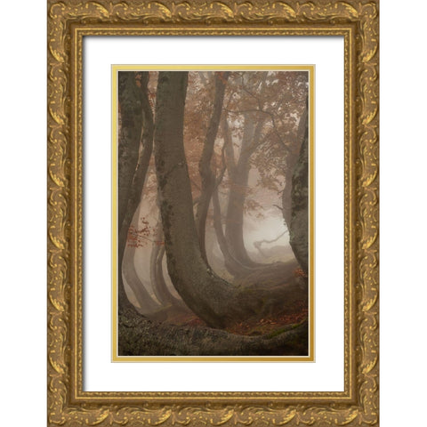 Twisted Beeches Gold Ornate Wood Framed Art Print with Double Matting by Marchegiani, Roberto