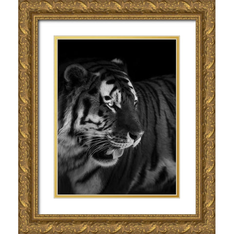The King Gold Ornate Wood Framed Art Print with Double Matting by Zhao, Alex