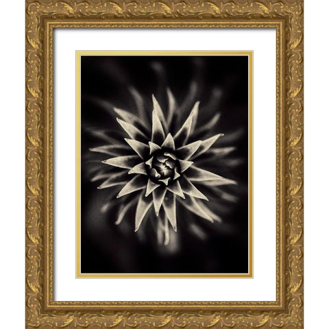 Star Gold Ornate Wood Framed Art Print with Double Matting by Salem, Saad