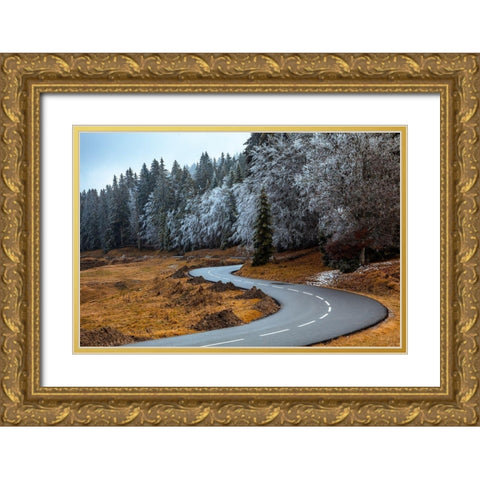 The Road and the Frozen Trees Gold Ornate Wood Framed Art Print with Double Matting by Paralleles, Visions