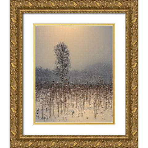 Lonely Tree Gold Ornate Wood Framed Art Print with Double Matting by Gialopoulos, Anastasios