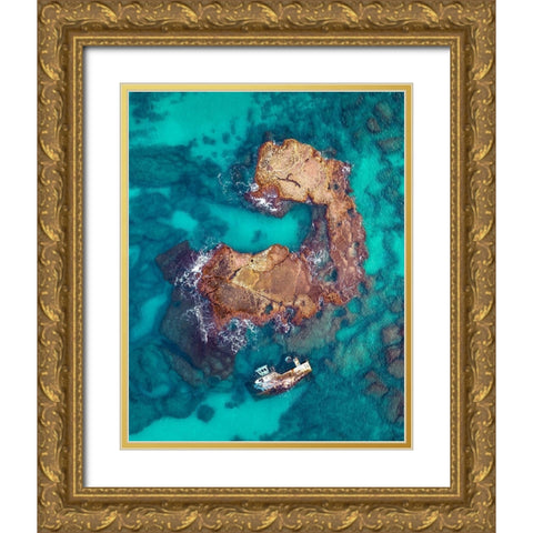 The Power of Nature Gold Ornate Wood Framed Art Print with Double Matting by Topaz, Gilad