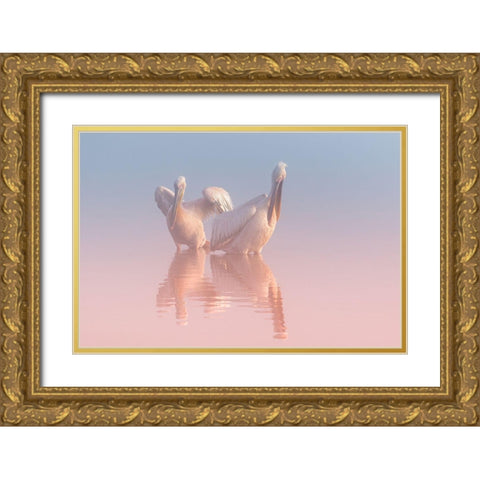 Two Pelicans Gold Ornate Wood Framed Art Print with Double Matting by Rublina, Natalia