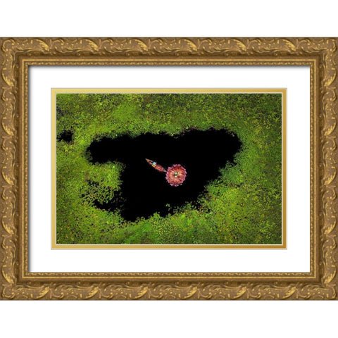 Harvesting Waterlily Gold Ornate Wood Framed Art Print with Double Matting by Adikary, Sujon