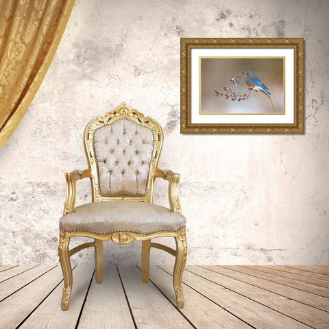 Blue Bird in Winter Gold Ornate Wood Framed Art Print with Double Matting by Chen, Jia