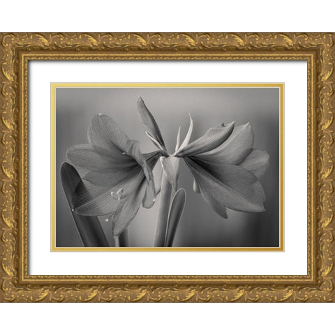 Elegance Gold Ornate Wood Framed Art Print with Double Matting by Rauwerdink, Jan