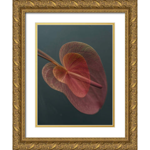 Heart 2 Gold Ornate Wood Framed Art Print with Double Matting by Basso, Donatella