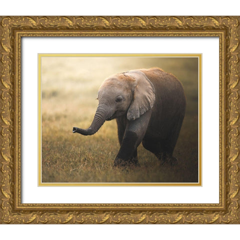 Falafelo Gold Ornate Wood Framed Art Print with Double Matting by Sobhi, Ahmed