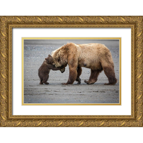 A Little Bear Hug Gold Ornate Wood Framed Art Print with Double Matting by Doyle, Renee