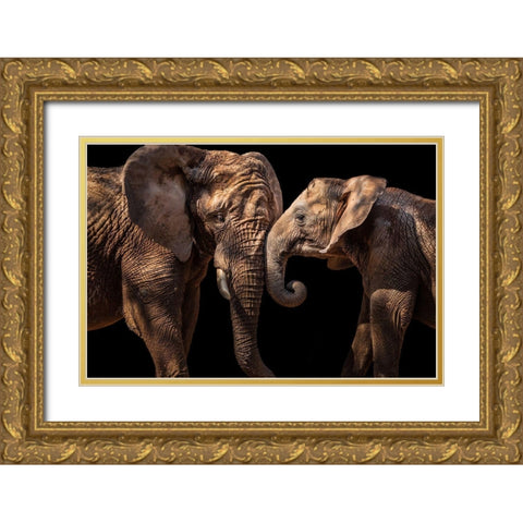 Elephants Gold Ornate Wood Framed Art Print with Double Matting by Martins, Vitor