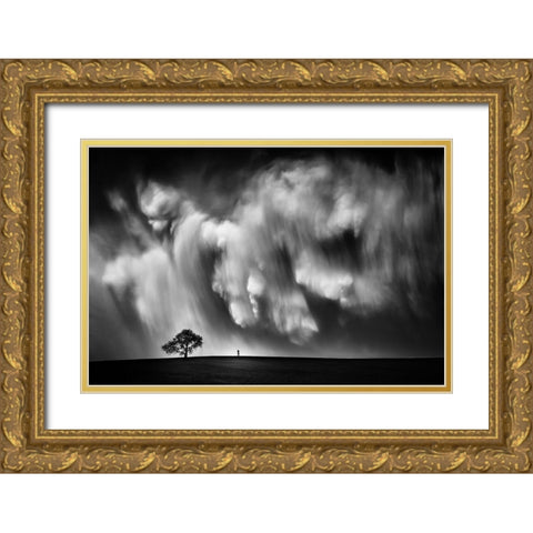 Storm Chaser Gold Ornate Wood Framed Art Print with Double Matting by He, Like