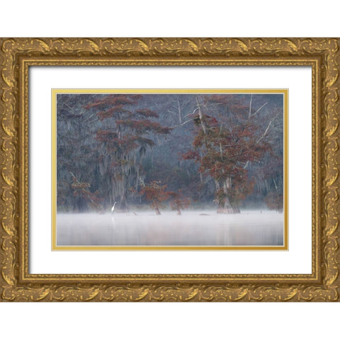 Egrette Gold Ornate Wood Framed Art Print with Double Matting by Marchegiani, Roberto