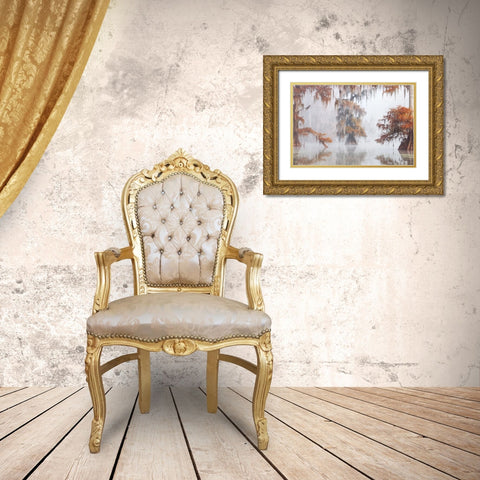 Mysty Bayou Gold Ornate Wood Framed Art Print with Double Matting by Marchegiani, Roberto