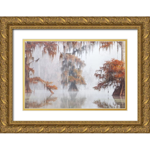 Mysty Bayou Gold Ornate Wood Framed Art Print with Double Matting by Marchegiani, Roberto