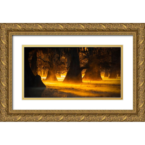 Morning Light Gold Ornate Wood Framed Art Print with Double Matting by Zheng, Michael