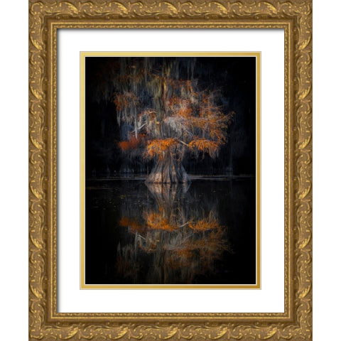 Cypress Reflection Gold Ornate Wood Framed Art Print with Double Matting by Zheng, Michael