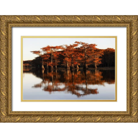 Reflection of Caddo Lake Gold Ornate Wood Framed Art Print with Double Matting by Chen, Janice W.