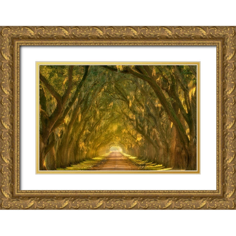 Illumination Alley Gold Ornate Wood Framed Art Print with Double Matting by Moore, Chris