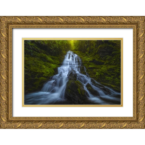 Staircase Falls Gold Ornate Wood Framed Art Print with Double Matting by Dyar, Ryan