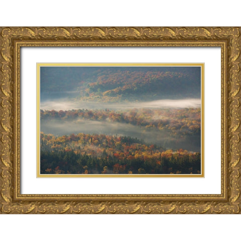 Misty Morning Gold Ornate Wood Framed Art Print with Double Matting by Austin