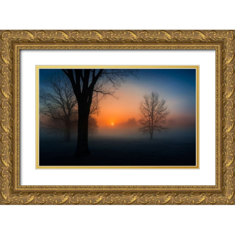 Foggy sunrise Gold Ornate Wood Framed Art Print with Double Matting by Dai, Wei