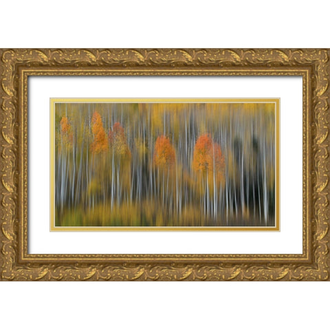 Fall Impression #2 Gold Ornate Wood Framed Art Print with Double Matting by Austin