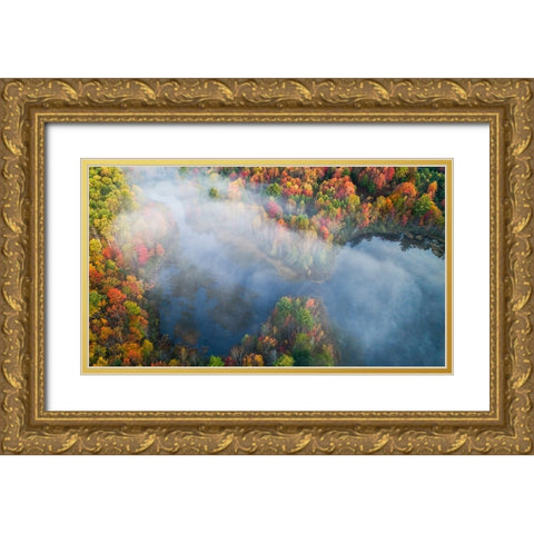 Autumn Symphony I Gold Ornate Wood Framed Art Print with Double Matting by Fan, John