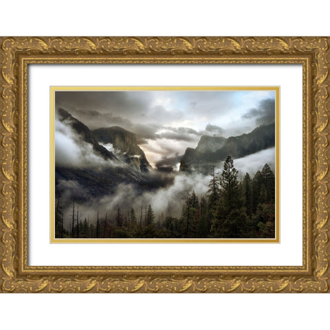 Upper Valley Morning Gold Ornate Wood Framed Art Print with Double Matting by Perlow, Gary