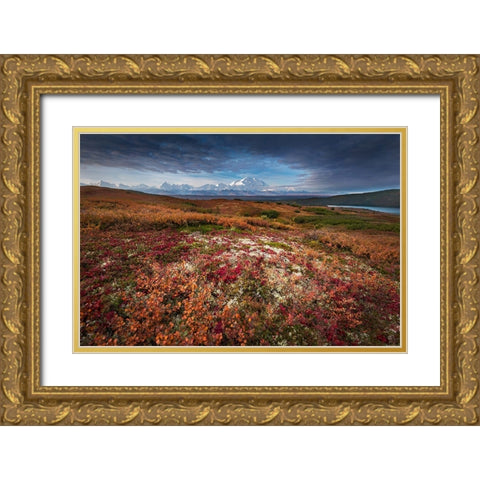 Denali in Fall color at sunrise-Wonder Lake Camping Ground Gold Ornate Wood Framed Art Print with Double Matting by Howard Liu, Hao