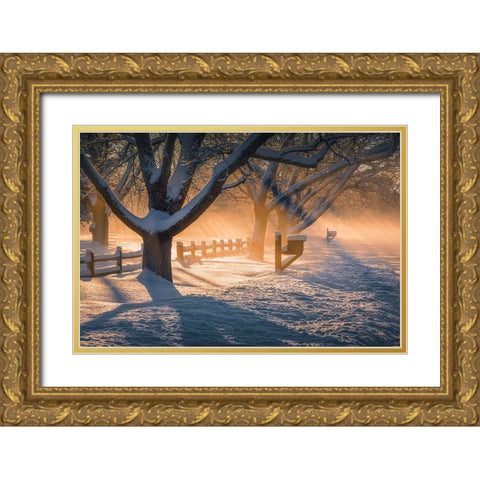 After Snow Storm Gold Ornate Wood Framed Art Print with Double Matting by Xu, Mei
