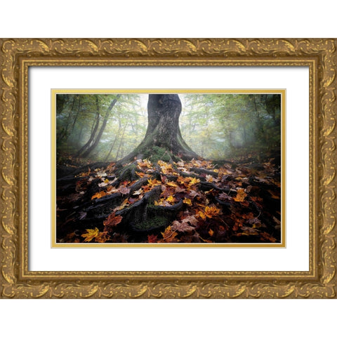 Autumn Gold Ornate Wood Framed Art Print with Double Matting by Chen, Cicy