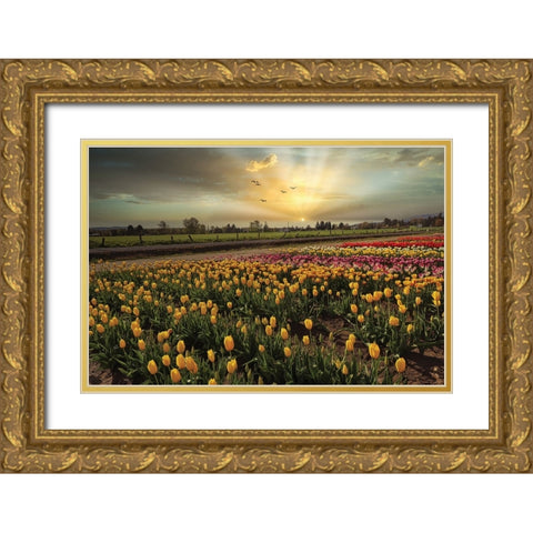 Natures Bounty Gold Ornate Wood Framed Art Print with Double Matting by Kulkarni, Sunil