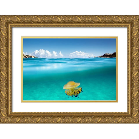 The Dangerous Encounter Gold Ornate Wood Framed Art Print with Double Matting by Sysa Moiola, Roberto