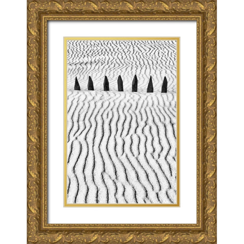 Little Silver Silence Gold Ornate Wood Framed Art Print with Double Matting by Abrantes, Paulo