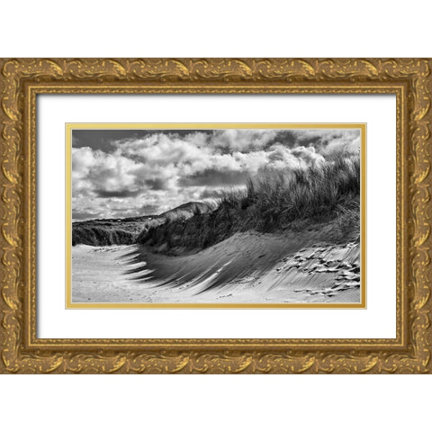 Dunes in Donegal Gold Ornate Wood Framed Art Print with Double Matting by lee miller, alan