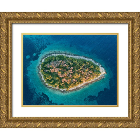 Island Gold Ornate Wood Framed Art Print with Double Matting by Kravanja, Jure